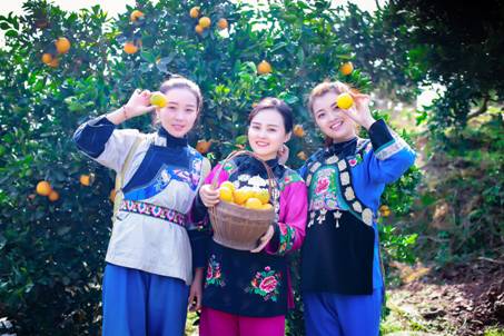 2b53c4e055ca98e679d0e9eadfa0632