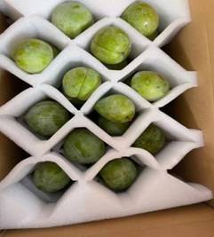 7cfdeb92cd2d2da0b45fbcb621d1a6a